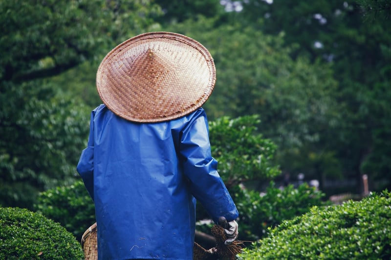 Connect with other gardeners